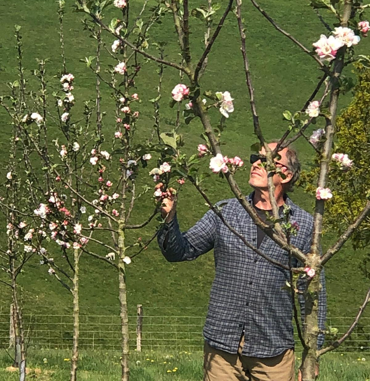 Cider Farm Near Me Church Stretton Glamping Cider Online Shop